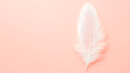 Single white feather lying on a pastel pink backgroundの素材