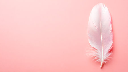 Delicate pastel colored feather lying on soft pink backgroundの素材