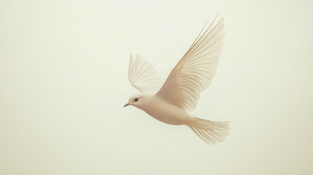 White dove flying gracefully in a minimalist style with copy spaceの素材