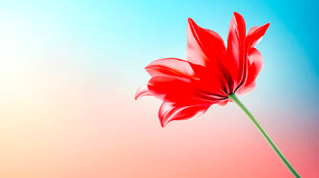 Vibrant red flower with delicate petals blooming gracefully against a soft, colorful pastel gradient background, creating a dreamy and romantic atmosphereの素材
