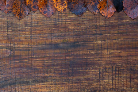 Autumn leaves of European aspen  Populus tremula  over wooden の写真素材