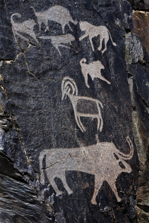 Palaeolithic petroglyphs in the famous Sarmish Gorge (Sarmishsay). Sarmishsay is the largest of many picturesque gorges along the southern slopes of the Karatau range, Uzbekistan. The Petroglyphs of Sarmishsay give quite a comprehensive picture of local fauna thousands of years ago. Today most of the animals they portray have disappeared.の写真素材