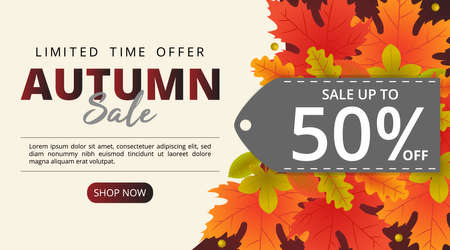 Autumn sale background with leaves and price tagのイラスト素材