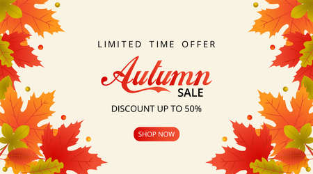 Autumn sale background with fallen autumn leavesのイラスト素材