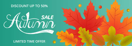 Autumn sale banner with fallen autumn leaves illustrationのイラスト素材
