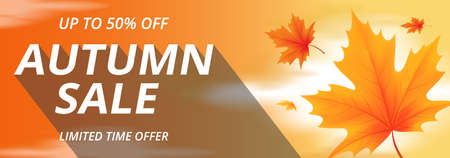 Autumn sale banner with fallen maple leaves and sunset sky illustrationのイラスト素材