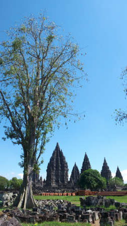 prambanan temple compounds - the tallest and most beautiful, largest hindus temple in the worldの写真素材