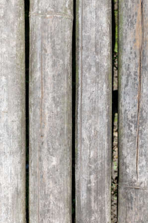 close up of old bambooの写真素材