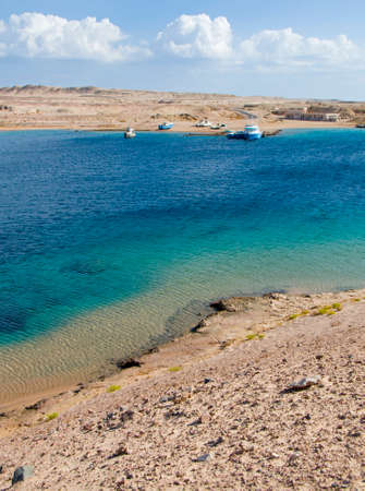 turtle bay on the Red Sea in Egyptの写真素材