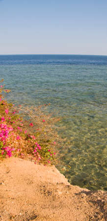 views of the Red Sea from the coast in egyptの写真素材