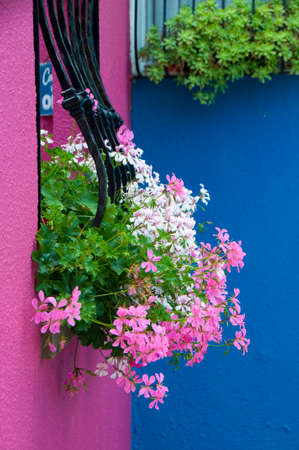 The colors of the walls of Burano, Venice, Italyの写真素材