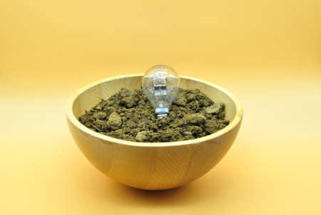 Growing ideas, conceptual photo of a light bulb planted in an elegant wooden vase