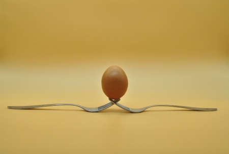 egg balanced on a composition of 2 intertwined forks isolated over neutral orange backgroundの写真素材