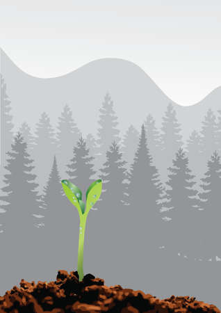 Vector of sprouting seed in the pine forest. This can be used as background, or related to environment or else.のイラスト素材