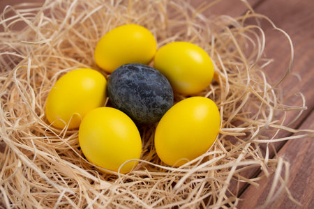 Yellow eggs and one blue marble egg in a nest isolated on wooden background. Happy Easter. Trendy...