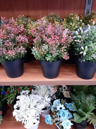 Artificial plants on wooden shelves for decoration.の写真素材