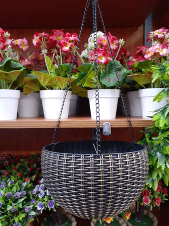 Artificial plants and decorative pots for interior design.の写真素材