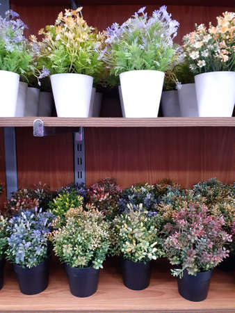 Artificial plants in pots for decoration.の写真素材
