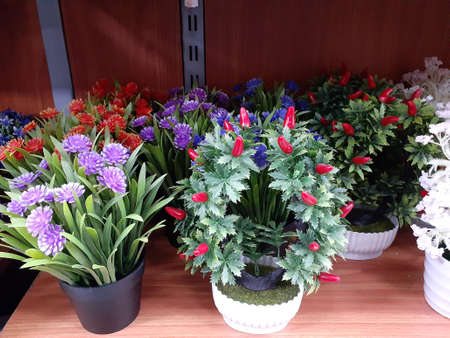 Artificial plants in pots for home and office decoration.の写真素材
