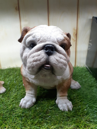 Statuary bulldog big in a shopping mall.の写真素材