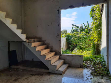 Inside of abandoned shop on the outskirts of town.の写真素材