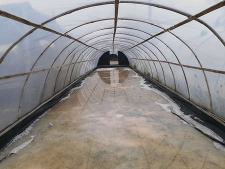 A room for making salt. Salt produced by tunnel greenhouse.の写真素材