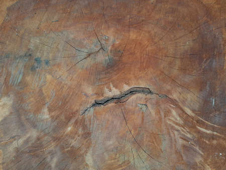 Dark brown wood texture background.の写真素材