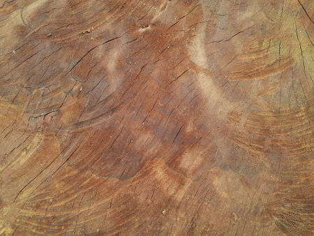 Old brown wood texture background.の写真素材