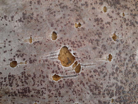 Torn sofa fabric background texture.の写真素材