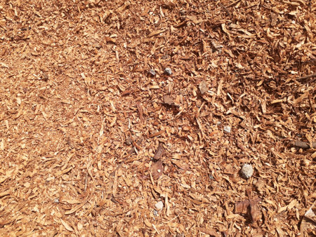 Close up of sawdust or wood dust texture background.の写真素材
