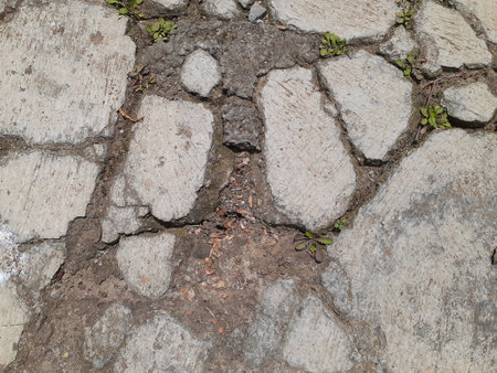 Cement floor on the ground that starts to peel off.の写真素材