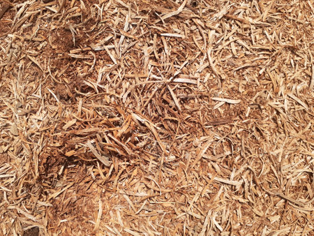 Close up of sawdust or wood dust texture background from cutting wood by a carpenter.の写真素材