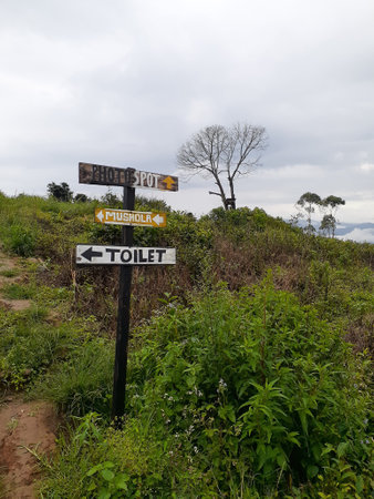 Toilet sign in mountain areaの写真素材