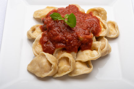 Ravioli with tomato sauce and basil on a white plateの写真素材