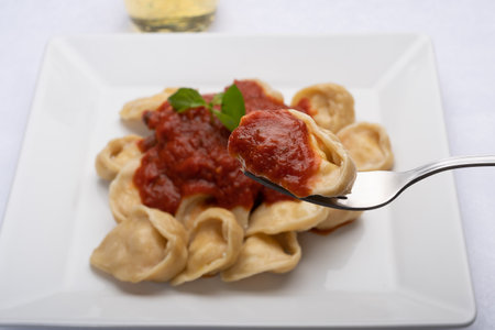 Tortellini with tomato sauce and basil on a white plateの写真素材