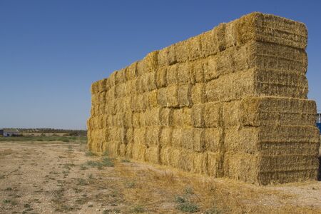 Blocks stacked bales of straw for livestock
