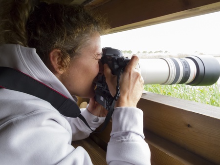 Making a photograph to photograph birds in a hideのeditorial素材