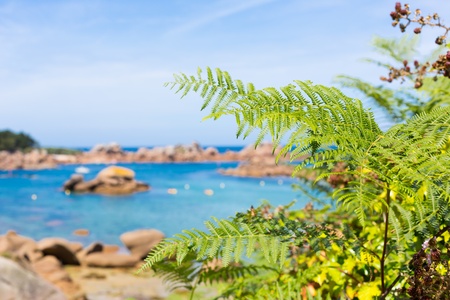 Green landscape with the sky for relaxの写真素材