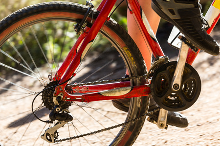 Downhill mountain bike on a forest path