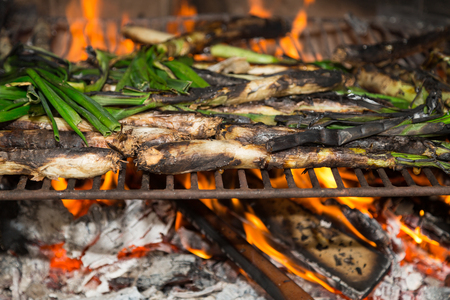 Calsots barbecue, typical traditional Mediterranean foodの写真素材