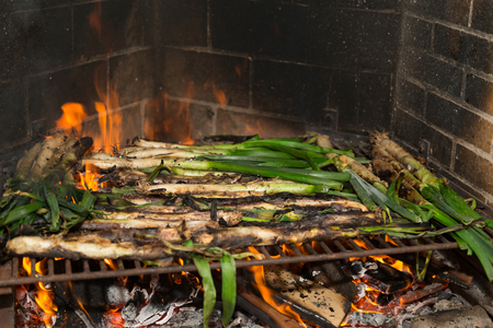 Calsots barbecue, typical traditional Mediterranean foodの写真素材