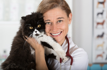 Veterinary hugging a cat and reassuring for reviewの写真素材