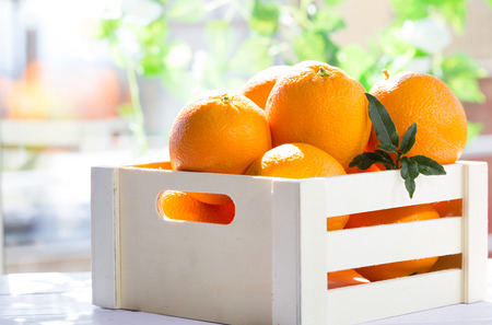 Box of oranges harvested fields valencia Spainの写真素材