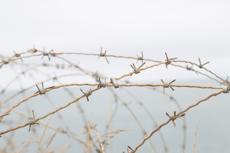 Detail of a barbed World War II, Franceの写真素材