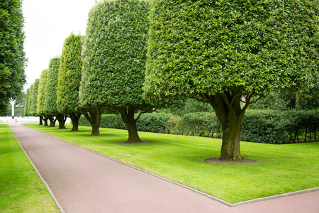 Topiary trees cast shadows on the garden path at the American World War II Cemetery in Colleville sur Mer, Normandy, Franceの写真素材