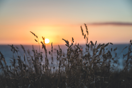 Sunset as seen from the top of a hill overlooking the seaの写真素材