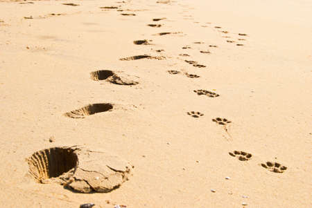 traces of man and dog on the sandの写真素材
