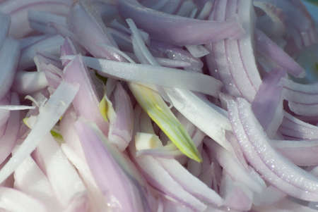 chopped red onion slices on a plate for the salad fresh juicy young delicious fragrant delicious
の写真素材