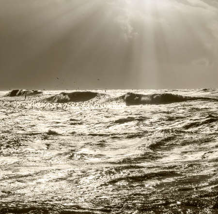 sea ââwaves in black and white version against the sunの写真素材