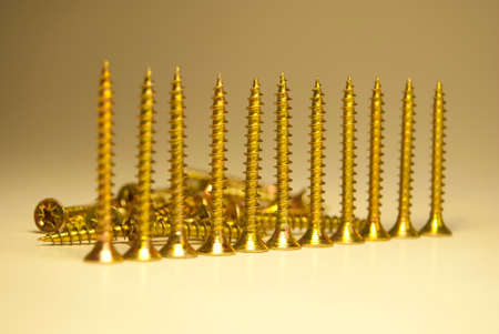 self-tapping metal screws for installation works on a tree